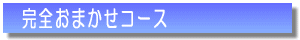 ���T1��̂��C�������̃����^������