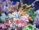 Mы^[X̓ݒu