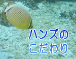 ̐ݒuƎ҂̊ЃnŶ