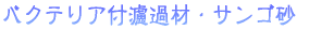 �o�N�e���A�t�h�ߍށE�T���S�����S